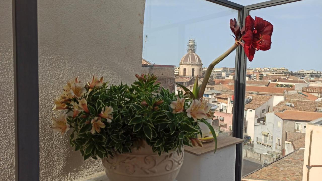 Bed and Breakfast Sogno Etneo CTA Exterior foto